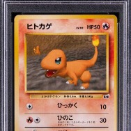 激レア「ポケカ」ヒトカゲ・ゼニガメ・フシギダネが計約3,400万円で