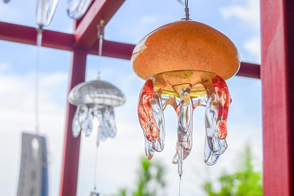 京都水族館】クラゲづくしな和空間が京都の夏を彩る「くらげと傘と風鈴