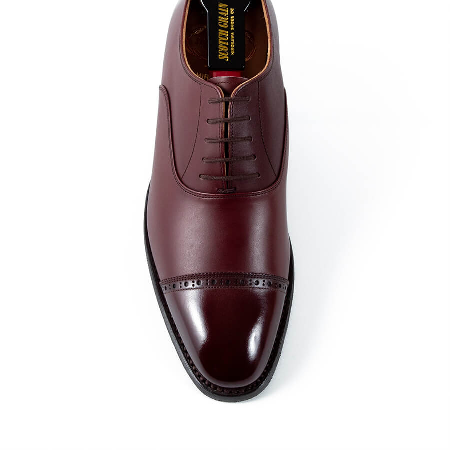 オデッサシリーズ 秋にぴったりな限定カラー登場！ │ スコッチ