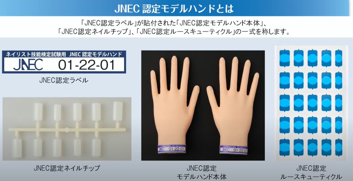 認定モデルハンド検定セット STモデルハンド セット | Nail Labo