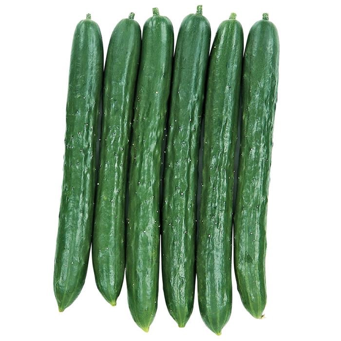 キュウリ スタートダッシュ節成｜種（タネ）,球根,苗,資材