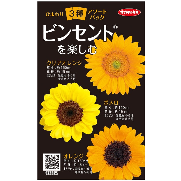 アソートパック ひまわり3種 ビンセント(R)を楽しむ｜種（タネ）,球根