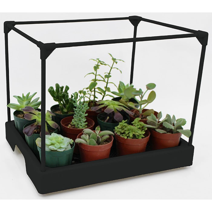 多肉マンション｜種（タネ）,球根,苗,資材,ガーデニンググッズの通販は