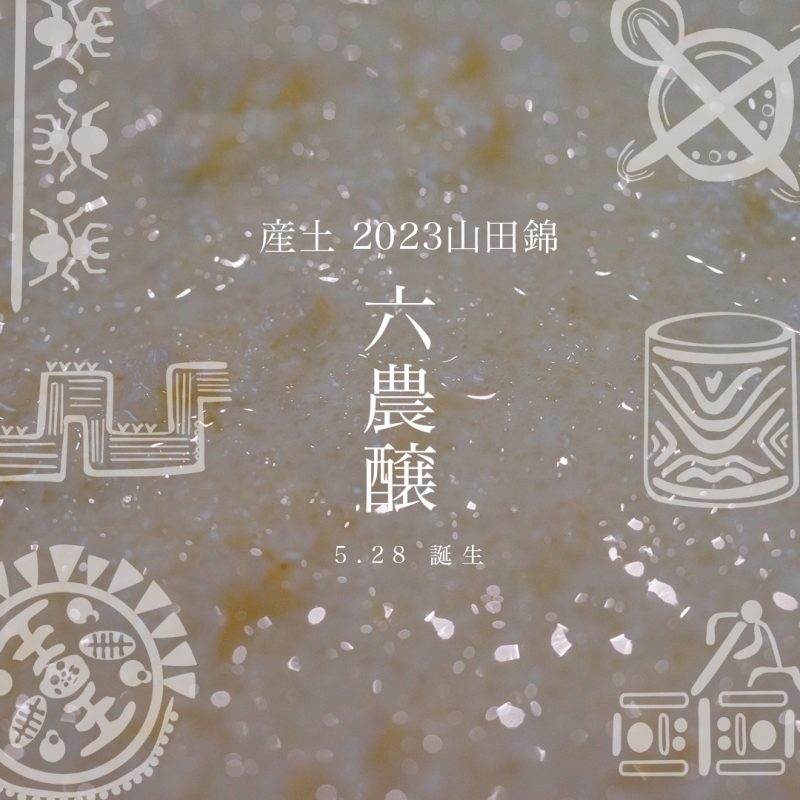 ご予約開始「産土2023山田錦六農醸」 - - ワダヤ 日本酒 ワイン