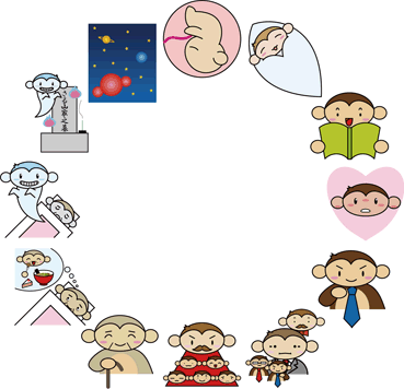 十二大従星の解説 | さる山さる子の算命学