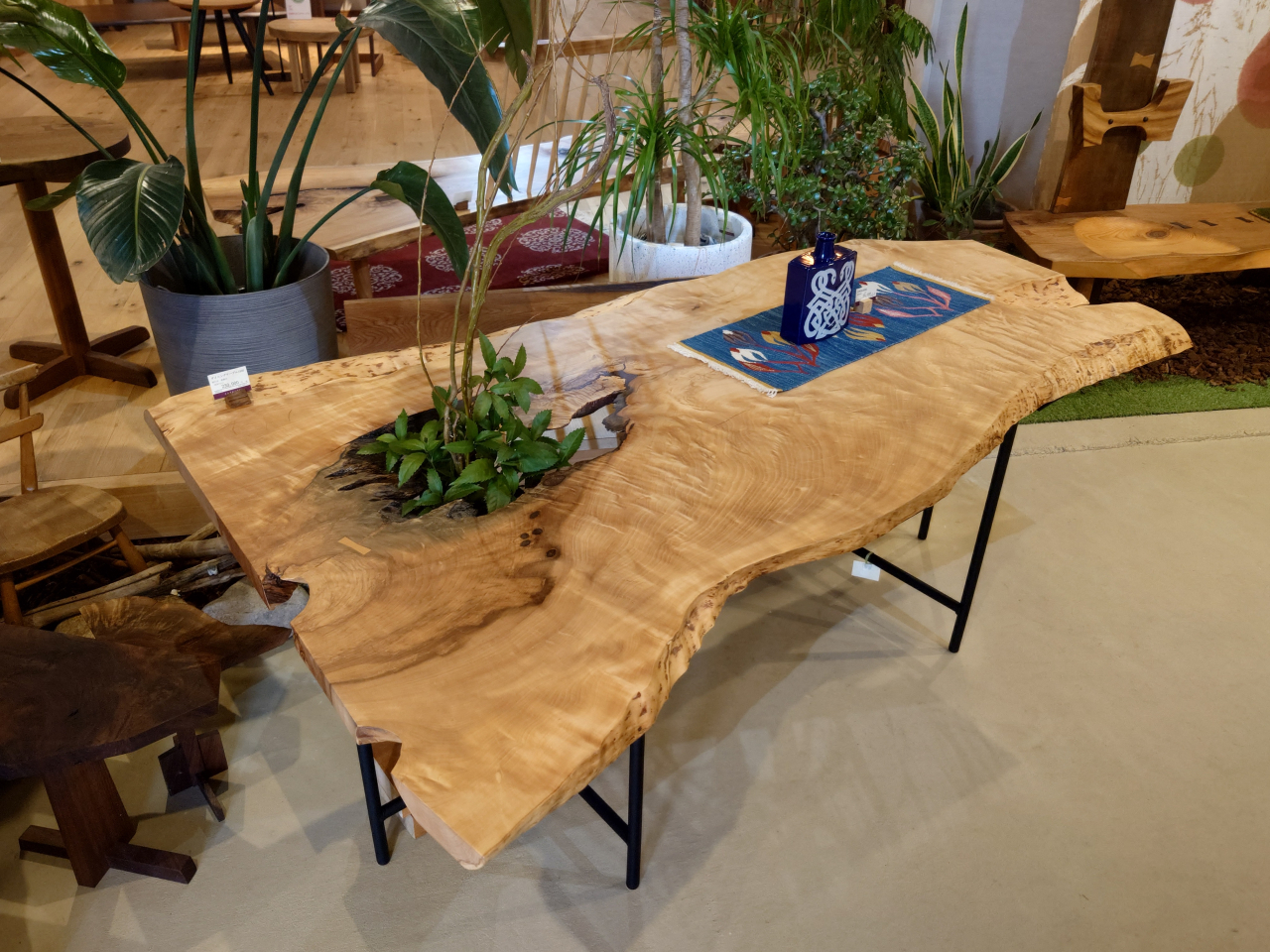 本店『家族が集う木のテーブルフェア』 | イベント情報 | さしこう