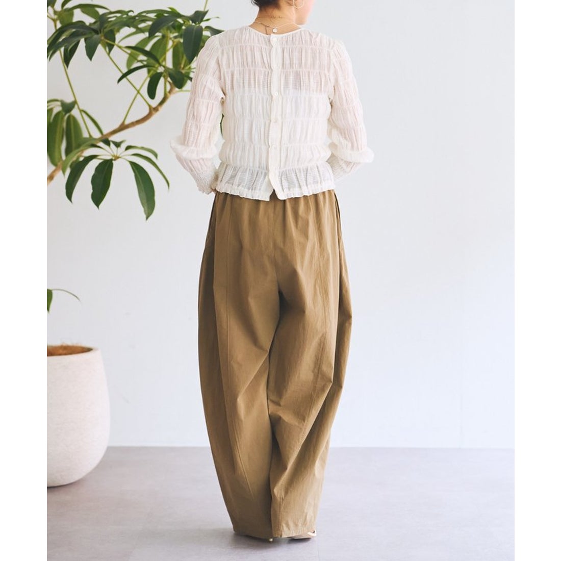 ビアズリー BEARDSLEY 《近日予約開始》コットンシャーリングブラウス