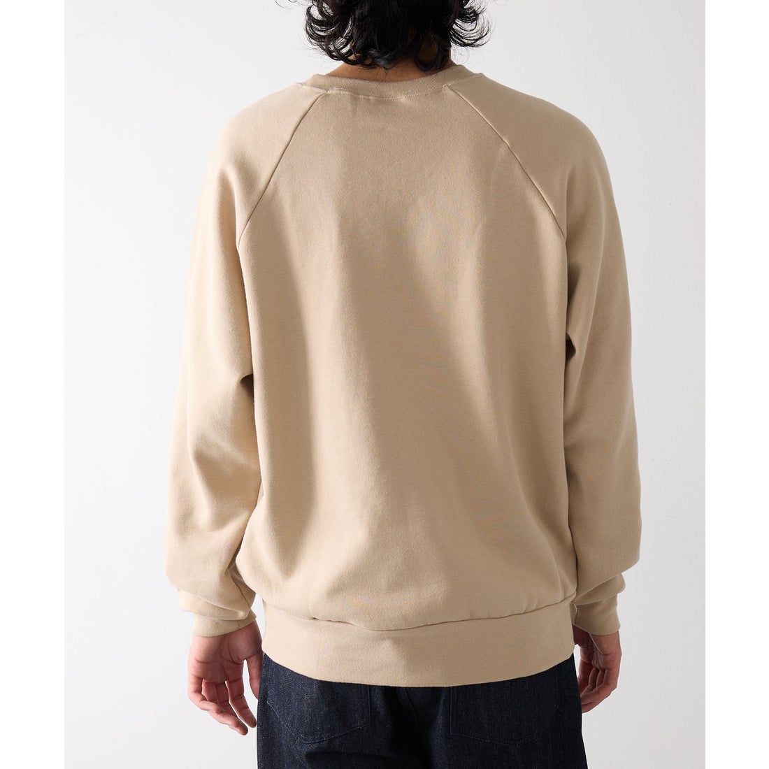 ヘルスニット Healthknit Classic Sweat Crew L/S(Beethoven Print