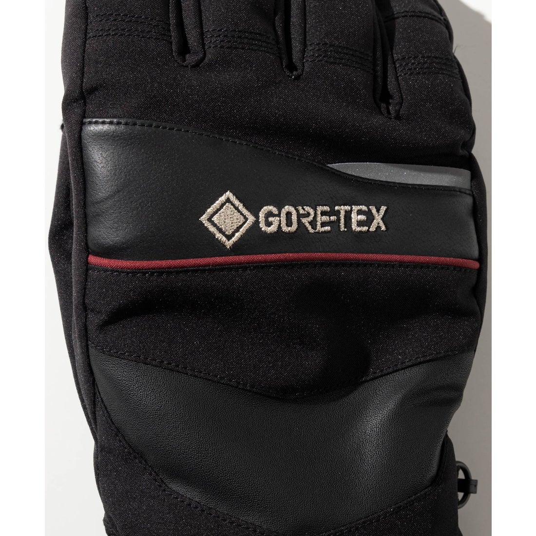 フェニックス phenix Phenix GORE Mens Gloves フェニックスゴアメンズ