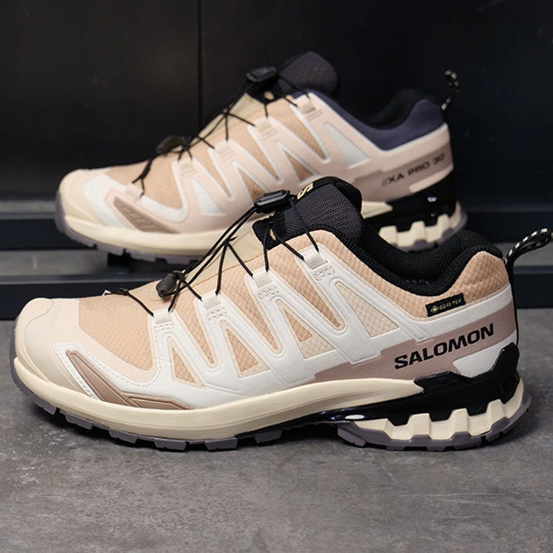 サロモン SALOMON XA PRO 3D V9 GTX W HAZELNUT/TENDER-PEACH/BLACK
