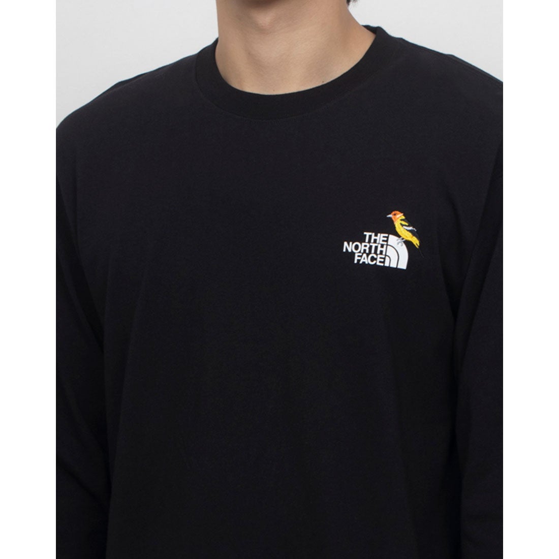 ザ・ノース・フェイス THE NORTH FACE メンズ アウトドア 長袖Tシャツ