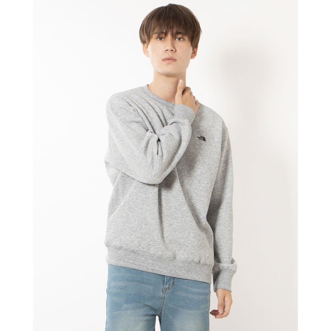 ザ ノース フェイス THE NORTH FACE スウェットトレーナー Small Logo