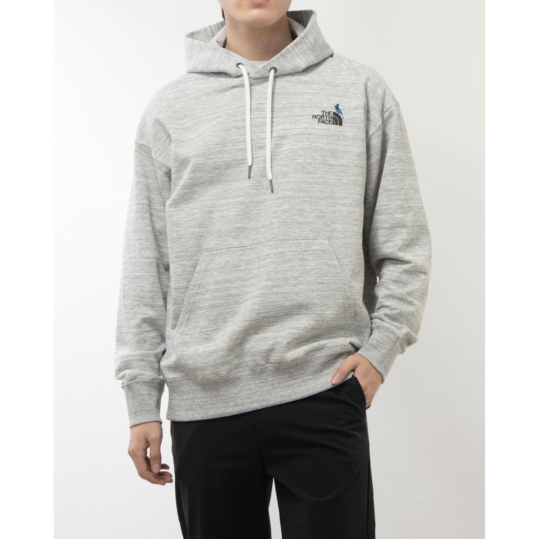 ザ ノース フェイス THE NORTH FACE スウェットパーカー Zoo Picker