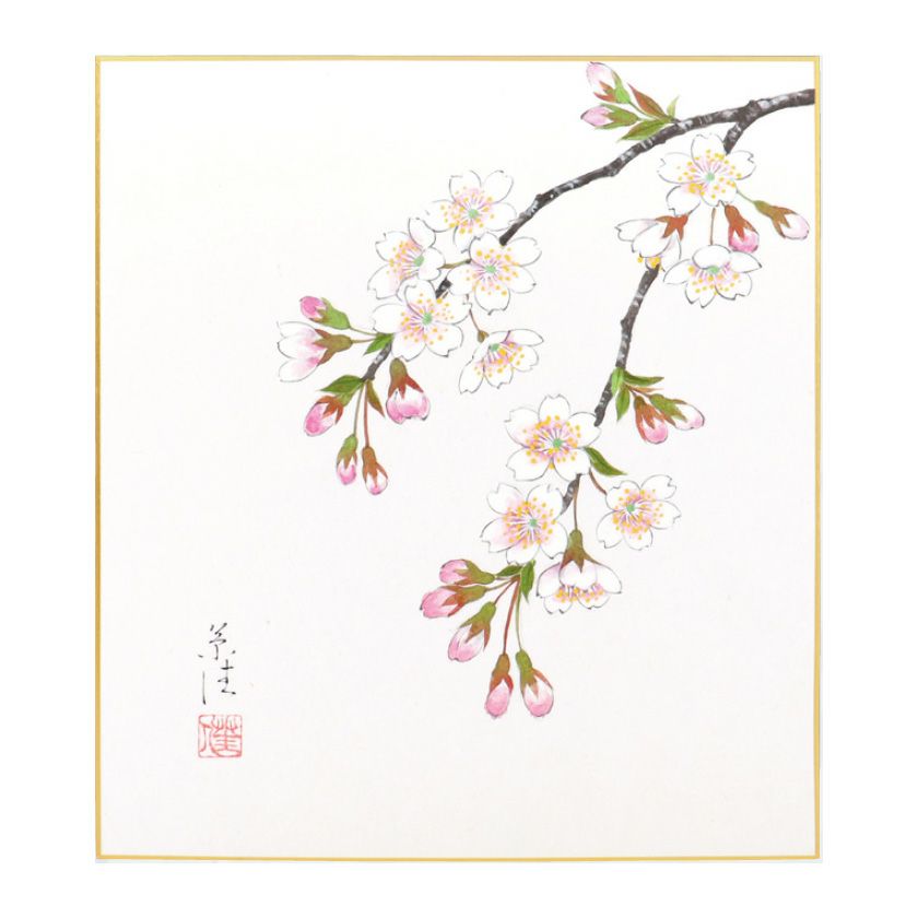 茶道具 色紙（しきし）・色紙掛（しきしかけ） 自画色紙 「桜の図