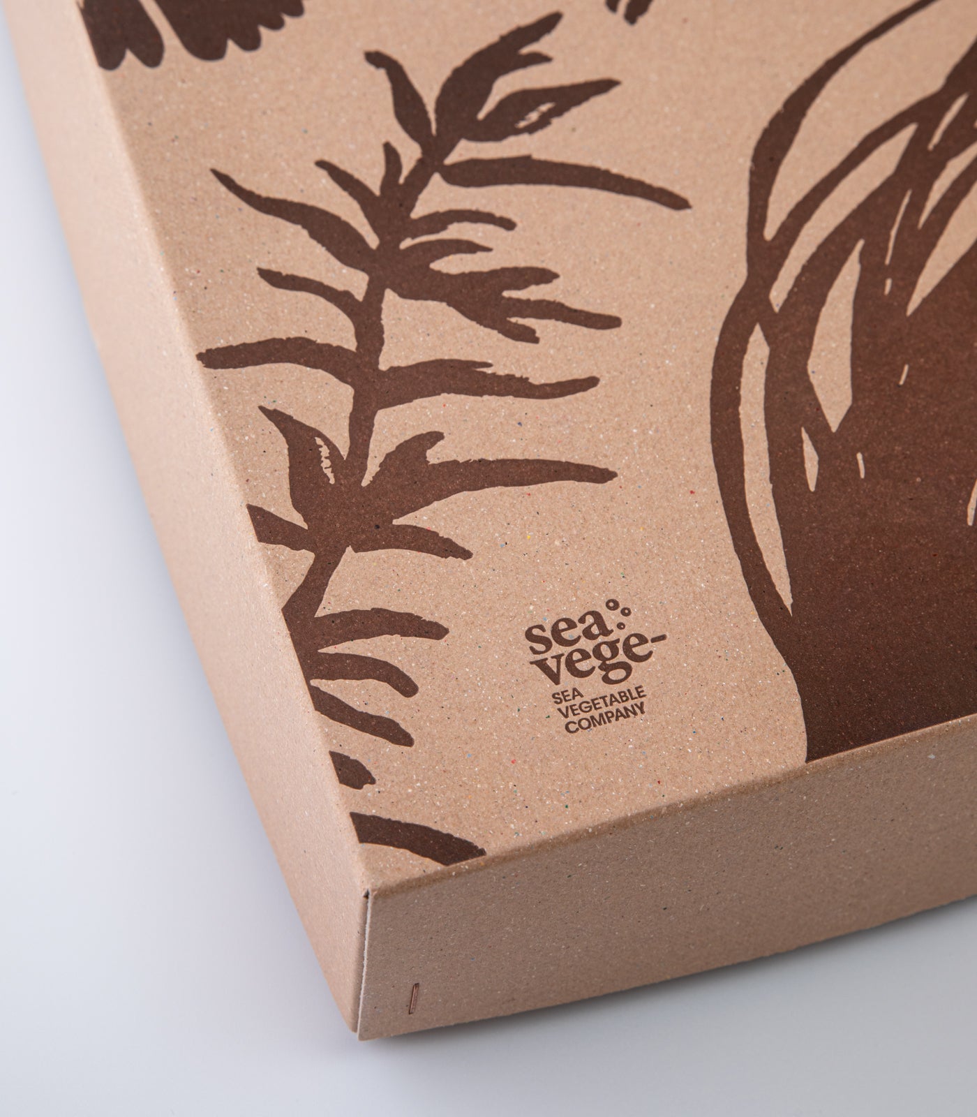 海藻ギフトボックス（中）/ シーベジタブル – SEA VEGETABLE COMPANY