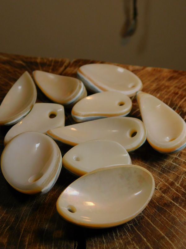 夜光貝磨き体験用パーツ≪二重真珠層パーツ≫ - Seamam夜光貝