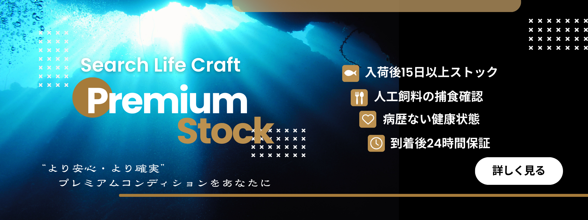 海水魚・小型水槽・人工ライブロック通販｜サーチライフクラフト