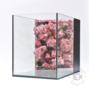 受注生産品 の在庫一覧 - 海水魚・小型水槽・人工ライブロック通販