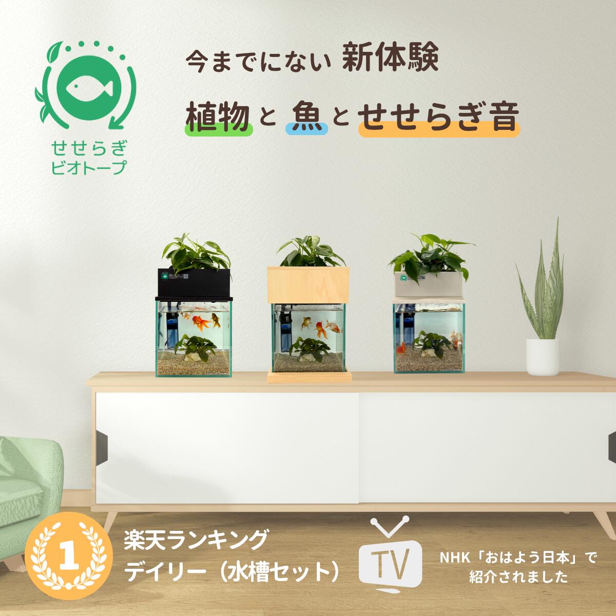 20cm型 せせらぎビオトープ 基本シンプルセット(黒) 照明なし【送料