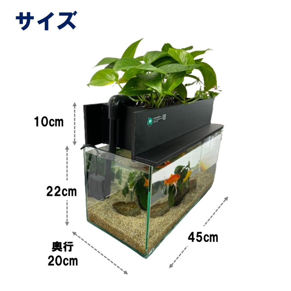 45cmスリム型せせらぎビオトープ水槽セット（黒）約17L 照明なし
