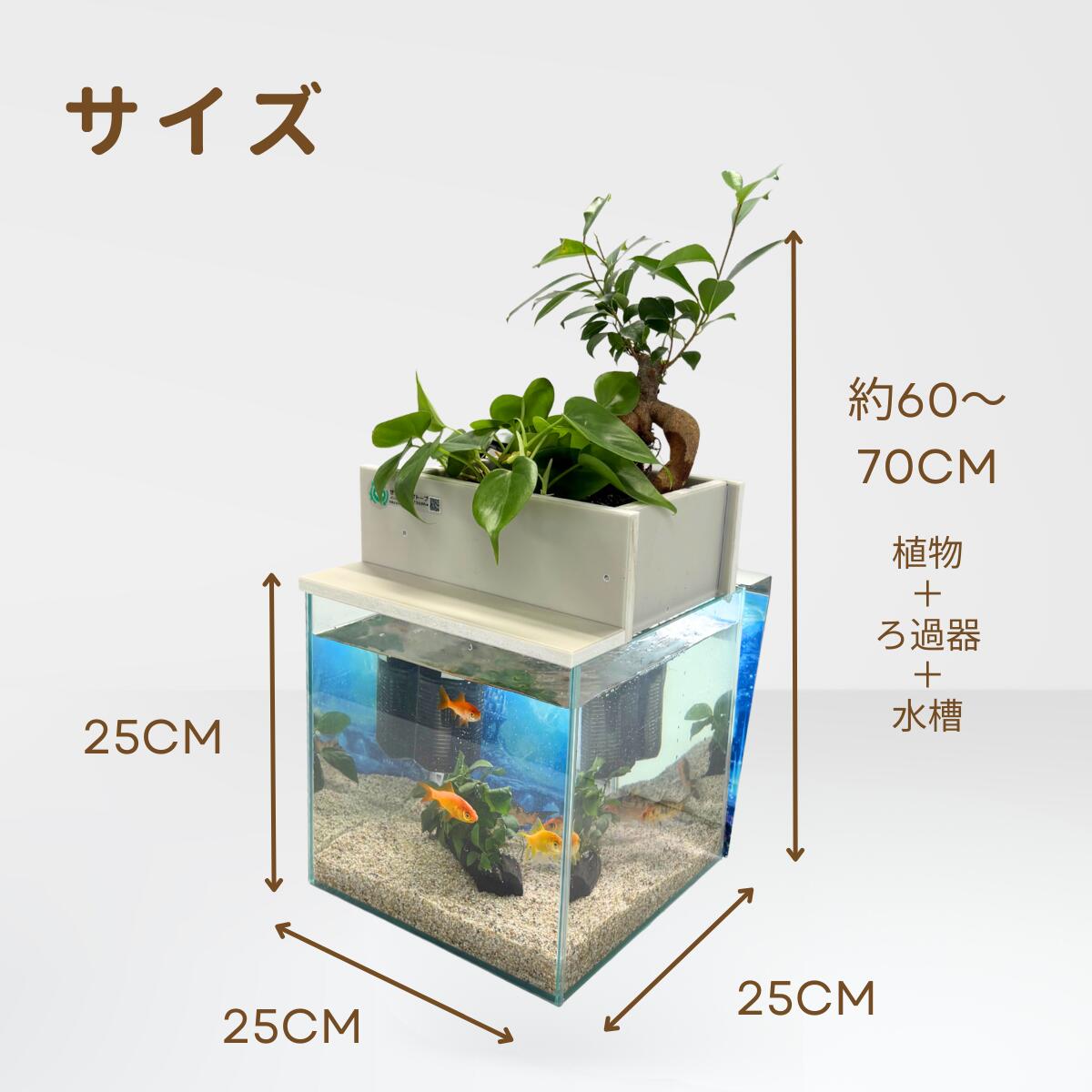 25cm型 せせらぎビオトープ 基本シンプルセット(グレー) 照明なし