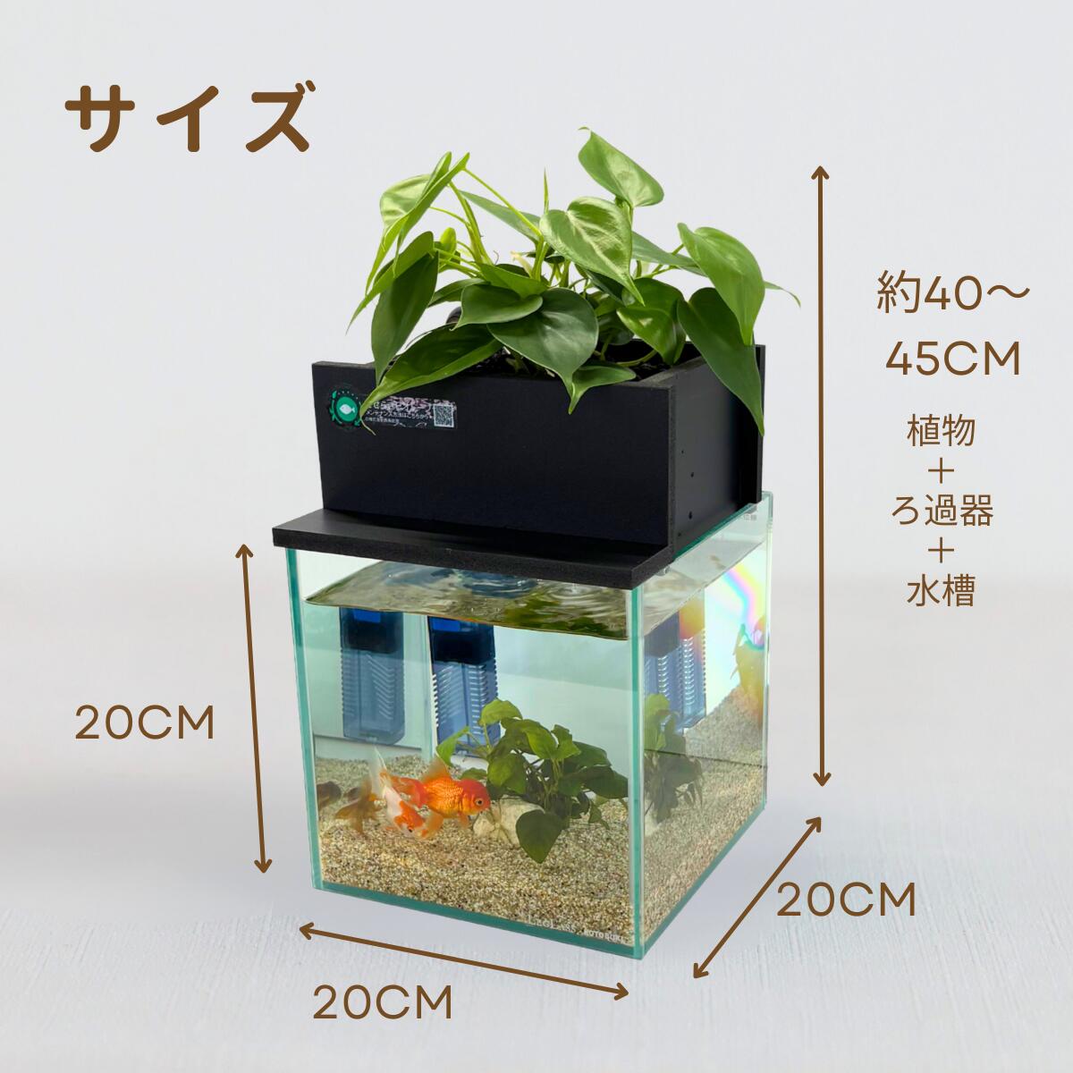 20cm型 せせらぎビオトープ 基本シンプルセット(黒) 照明なし【送料