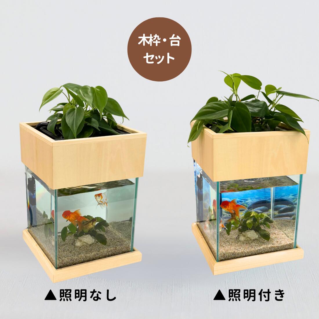 20cm型 せせらぎビオトープ 基本＋木枠セット 照明あり【送料無料