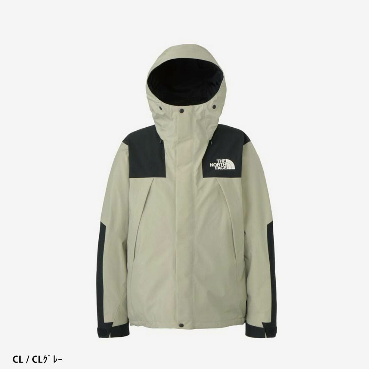 スキーウェア メンズ スキージャケット THE NORTH FACE ザ・ノース