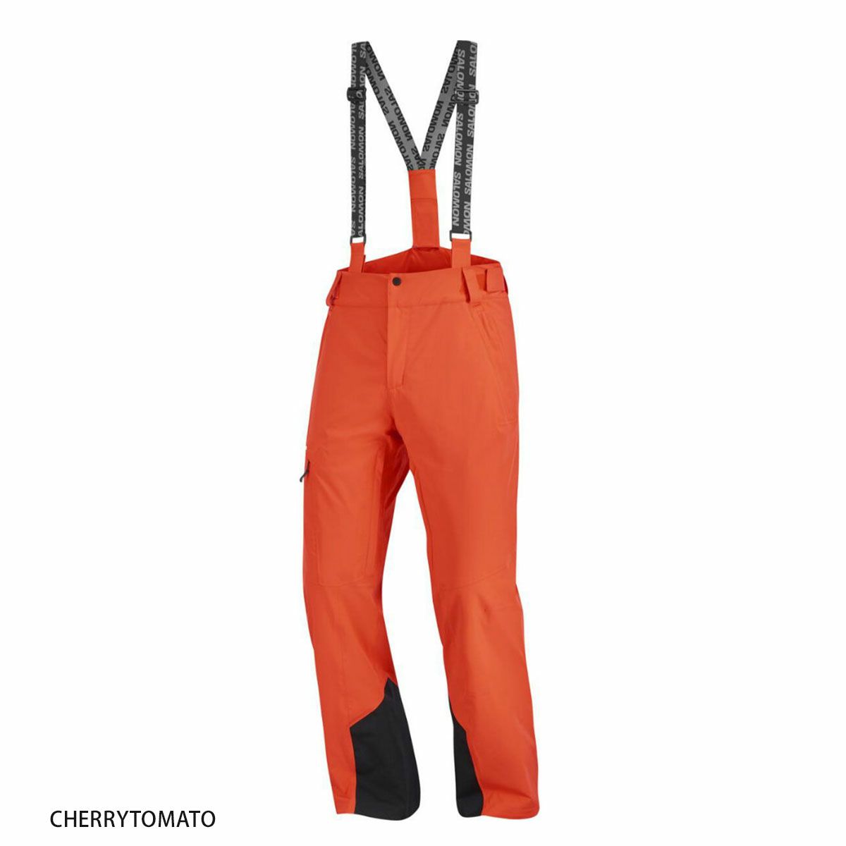 スキーウェア スキーパンツ パンツ SALOMON サロモン メンズ 2025