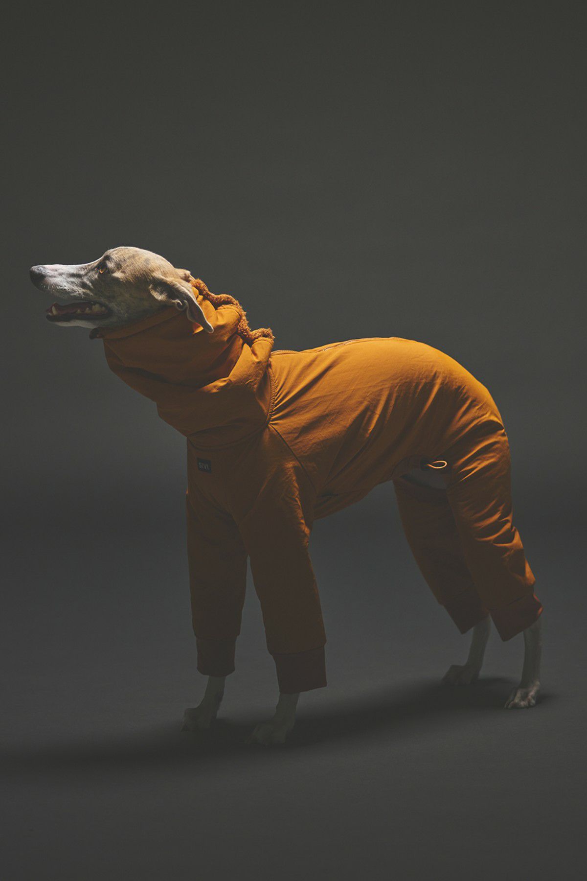 SIVI ウィンタースーツ｜撥水・防水 | SIVI｜イタグレ 服・ウィペット