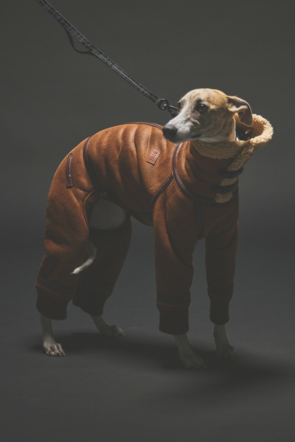 SIVI B3フライトスーツ | SIVI｜イタグレ 服・ウィペット 服｜犬用