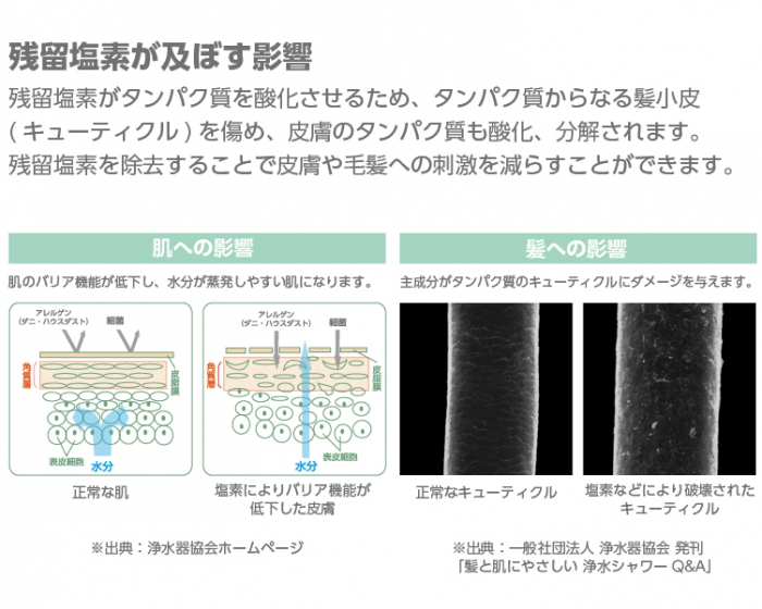 レインボーアーク ミセルウォッシュ 全身洗浄料 レインボーアーク