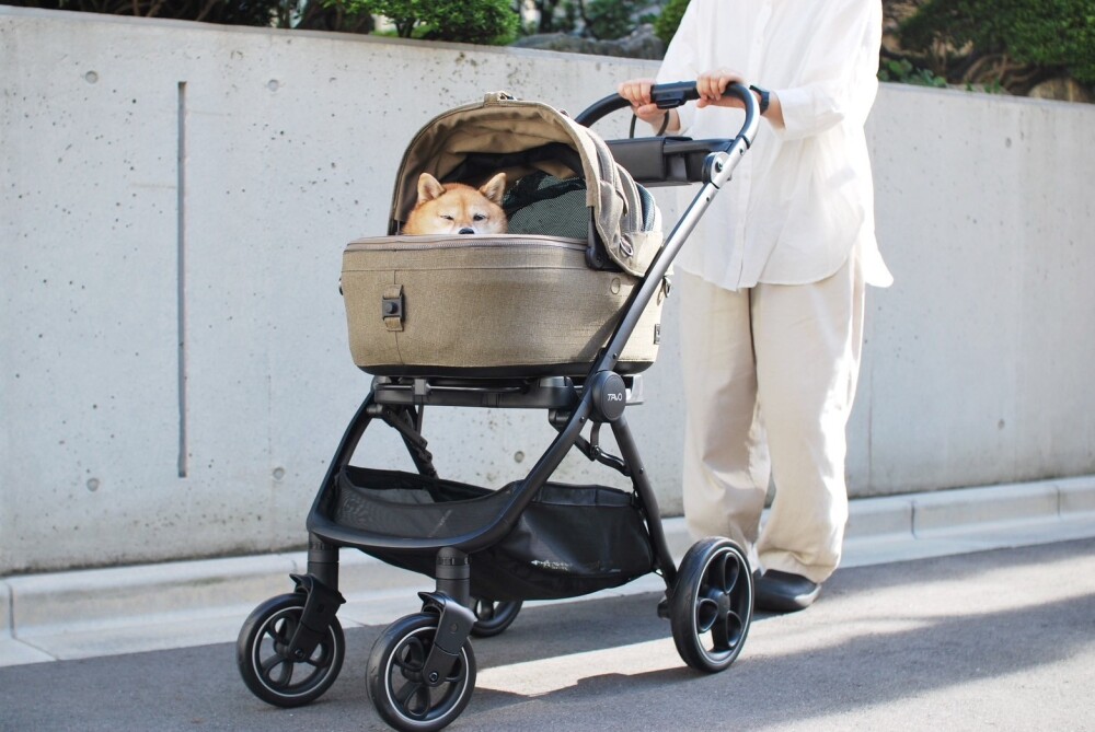 日本初上陸のペットカートTAVO(タボ) | Paddy by WAFONA | 大丸東京店