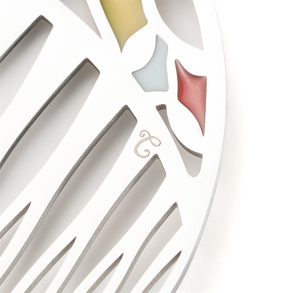 ボタニカルレジン ステンレスコーム(マルチカラー) | コーム | COMPLEX