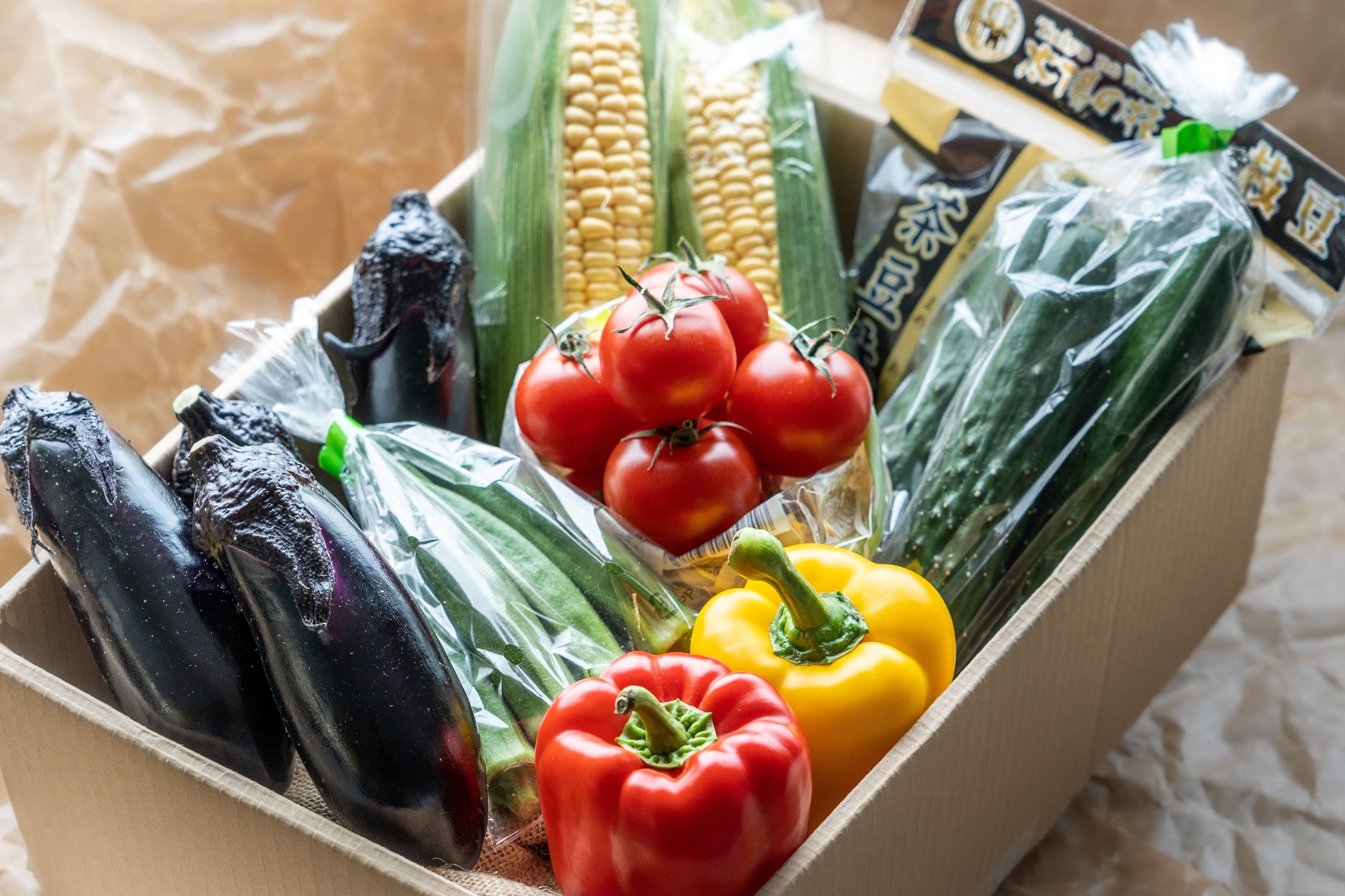 群馬県産 季節の野菜セット – GCCアグリテック 食卓を潤す食品を販売