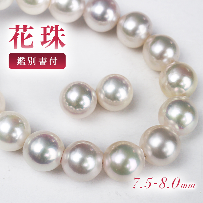 楽天市場】クーポン&選べるプレゼント☆ 花珠 アコヤ真珠 ネックレス 2