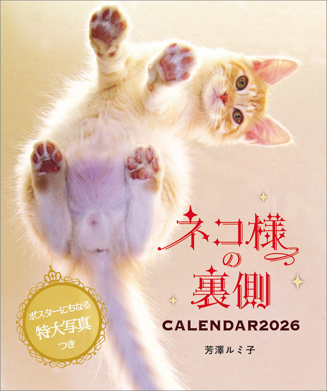 楽天市場】ネコ様の裏側カレンダー2026／芳澤ルミ子 2026年 カレンダー