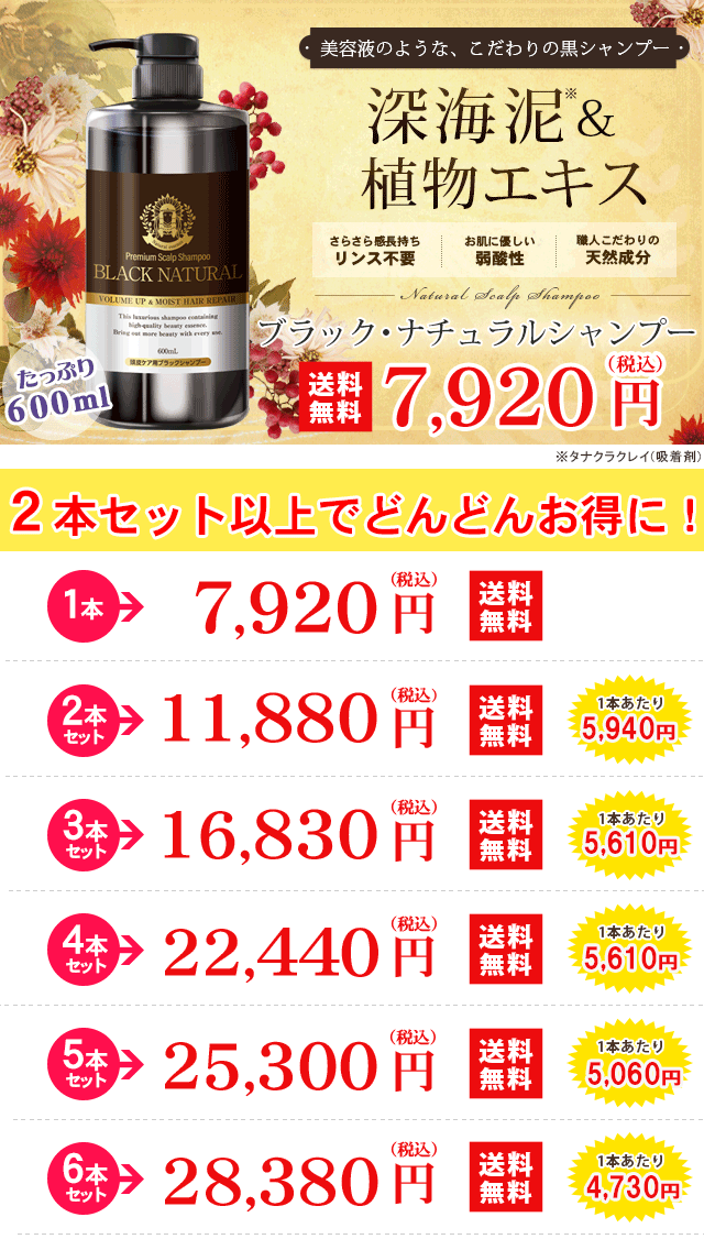 Black Care ブラック・ナチュラルシャンプー 600ml 6本 セット