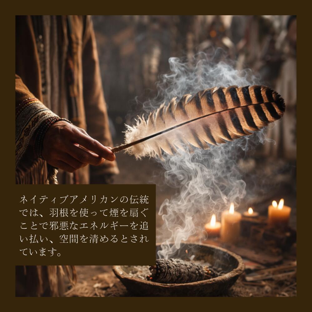 天然七面鳥の羽根 羽 [1本] 鳥の羽根 スマッジング パロサント