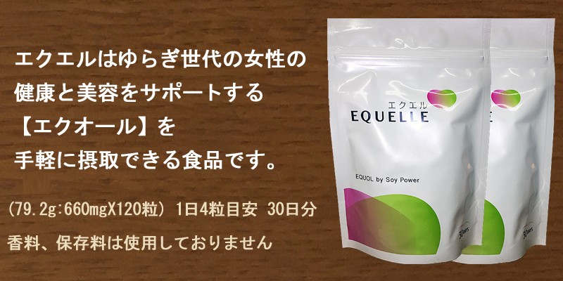 大塚製薬 エクエル パウチ 120粒X3個セット : 通販薬局 - 通販