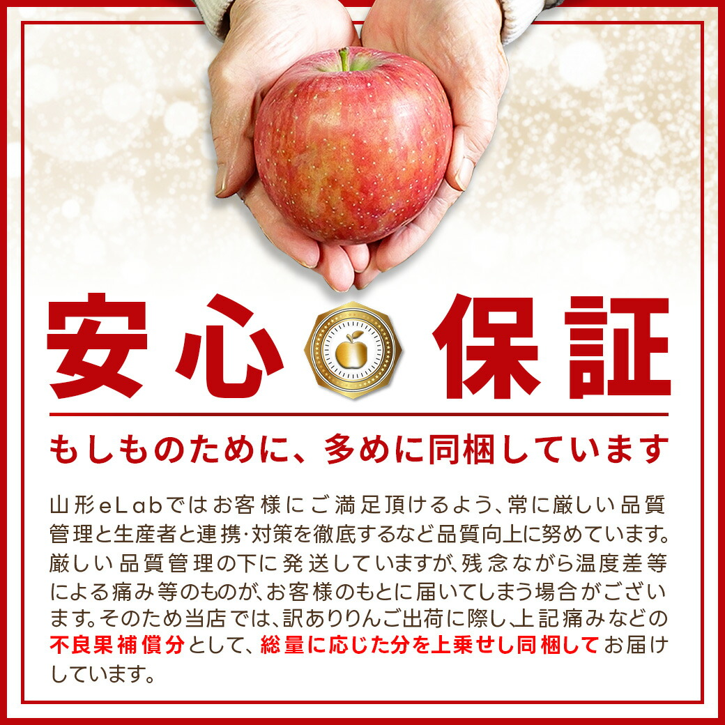りんご 10kg ご家庭用 訳あり サンふじ ふじ 家庭用 山形県産 リンゴ