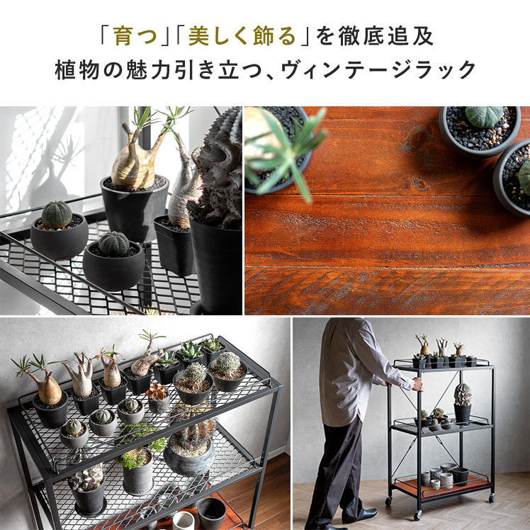 エア・リゾーム 棚 ラック スチールラック オープンラック シェルフ