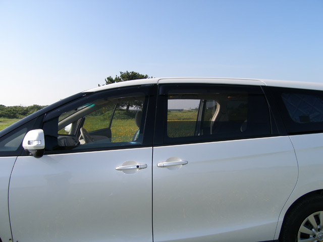 Aizu（アイズ） ウィンドーバグネット セカンド（2枚）セット