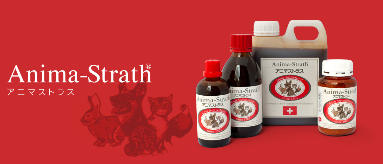 アニマストラス 250ml 爆買 : albiot - 通販 - Yahoo!ショッピング