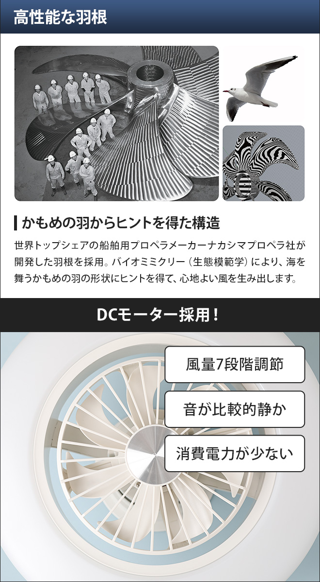 DOSHISHA（ドウシシャ） シーリングライト 選べる豪華特典
