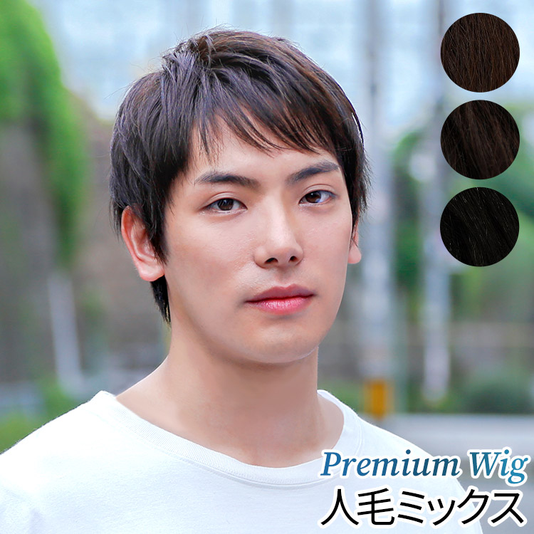 AQUADOLL（アクアドール） ウィッグ メンズ ショート 人毛 mix 男性