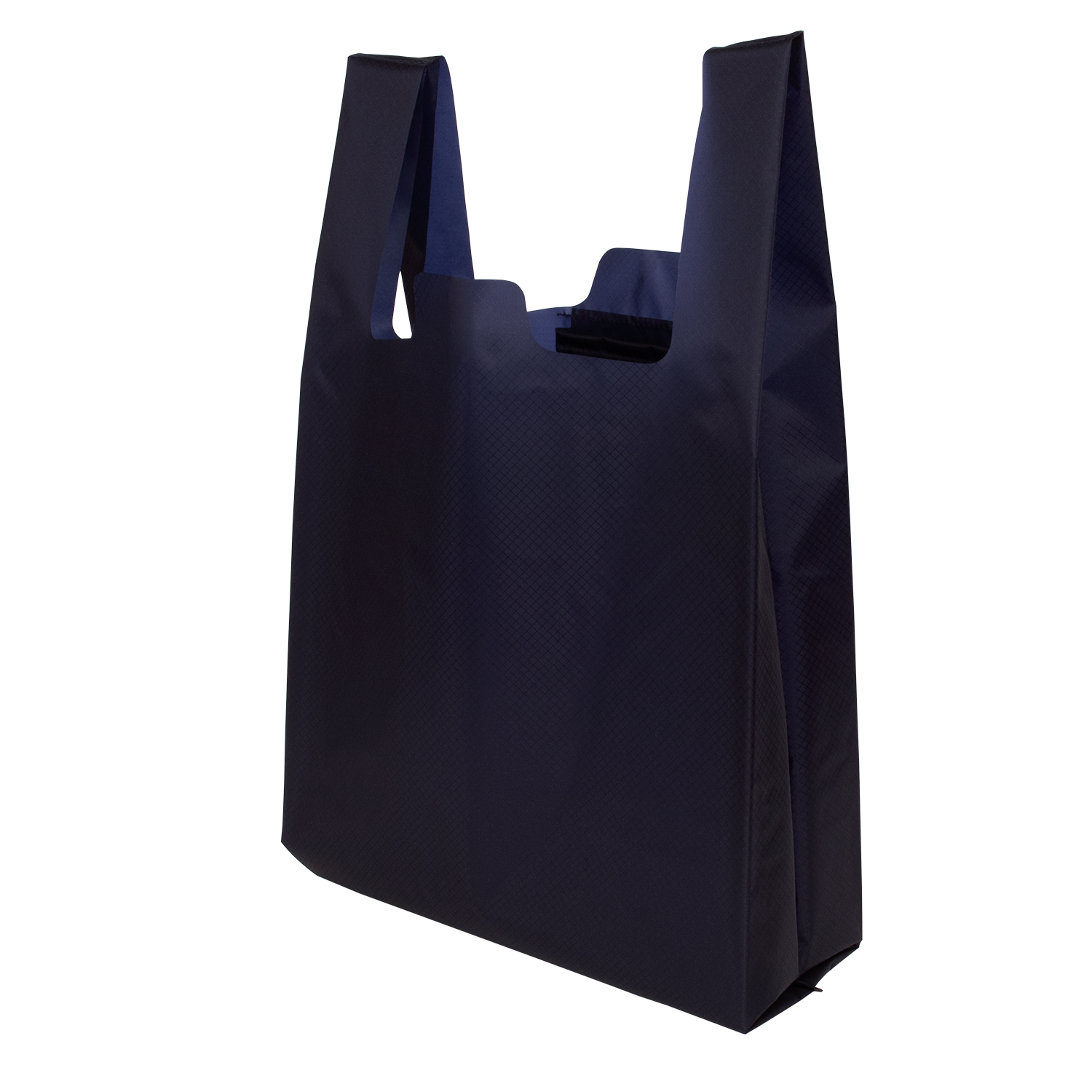 aso エコバック Regile2 レジル2 Mサイズ コンパクト 父の日 入学 卒業