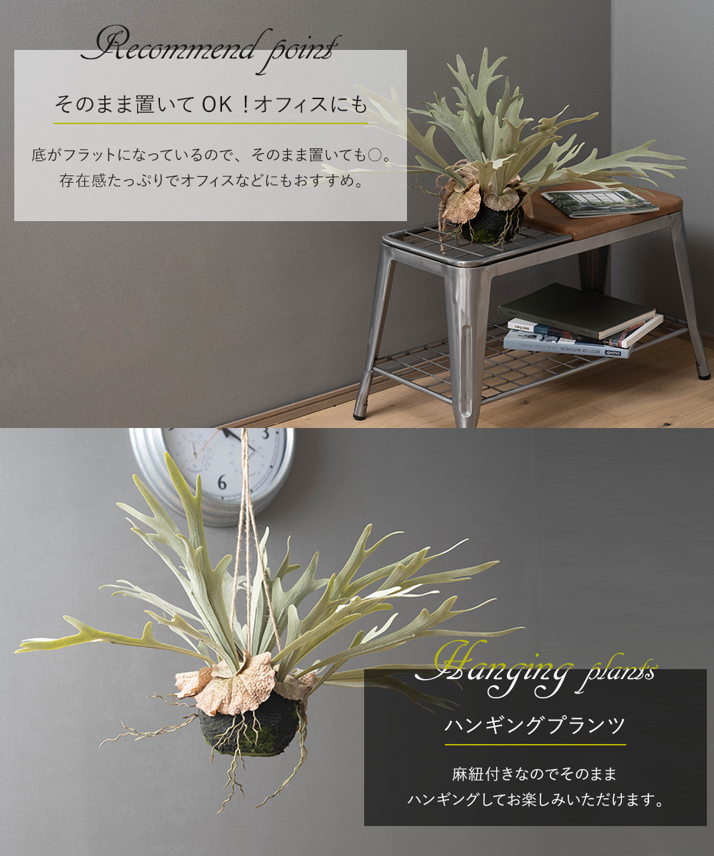 コウモリラン 壁掛け ビカクシダ 人工 観葉植物 フェイク リアル 吊り