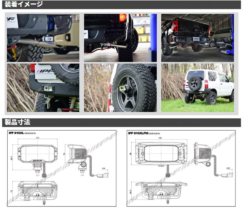 IPF LEDバックランプ 競技専用 816XLFM(海外モデル) 汎用バックランプ