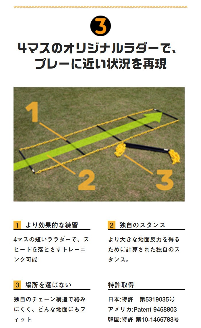 一歩目が速くなる タニラダー ベーシックシングルセット ラダー